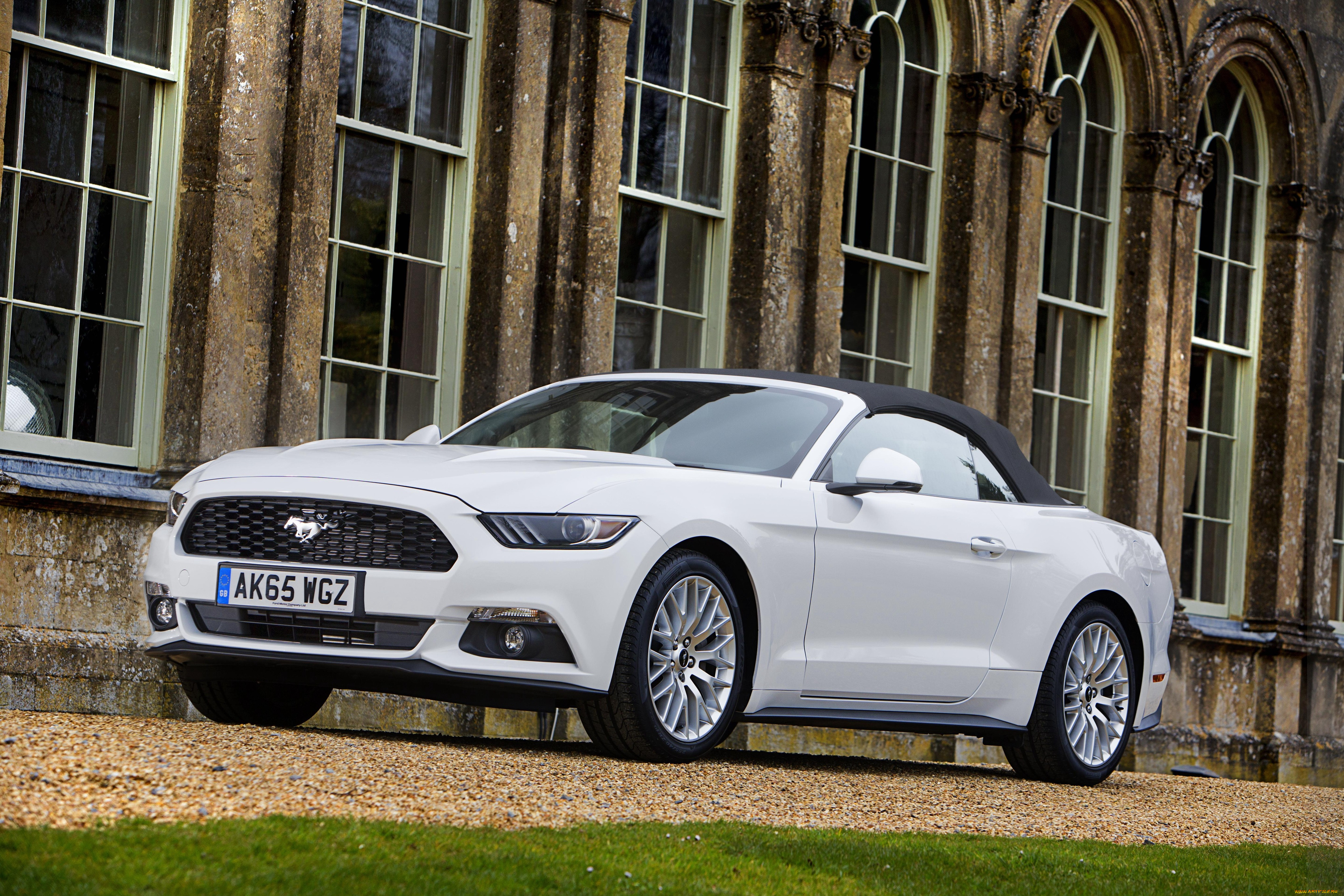 , mustang, ford